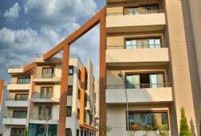 8399062 - Property Image 3