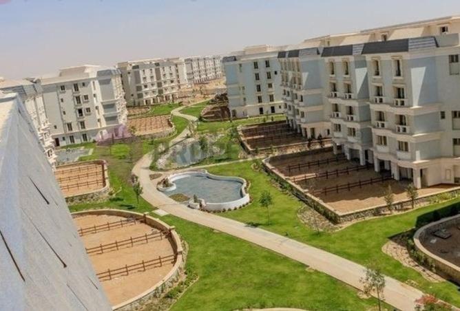 8230821 - Property Image 3