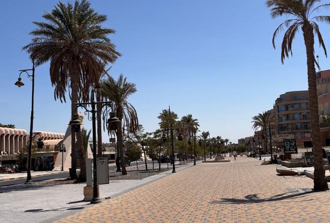 7905878 - الصورة الرئيسية للعقار