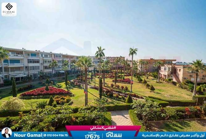 8467441 - Property Image 2