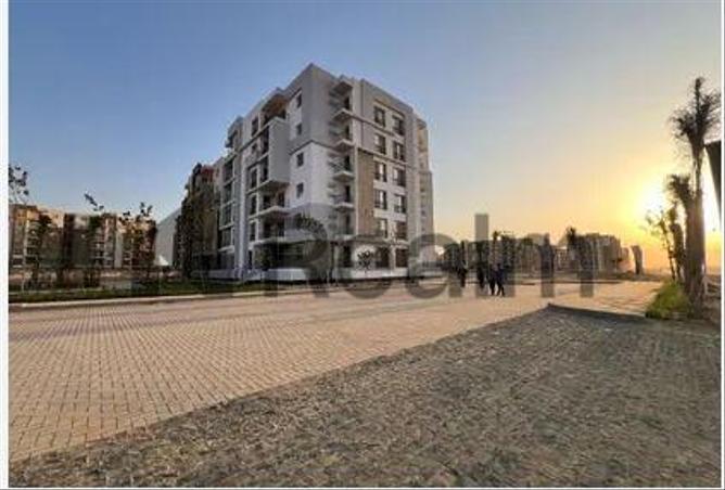 7968514 - صورة العقار 3