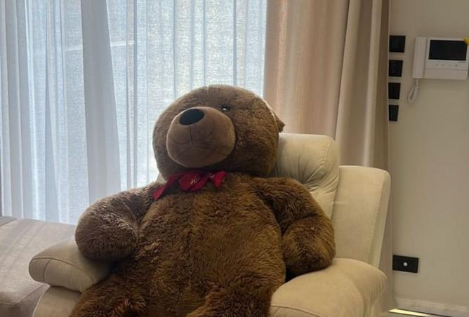 8258477 - صورة العقار 2