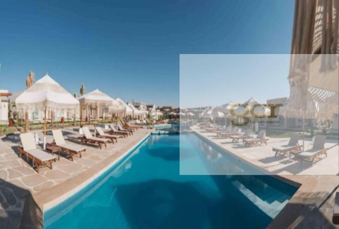 8174583 - Property Image 3