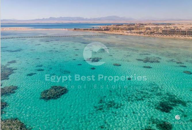 7977896 - Property Image 2