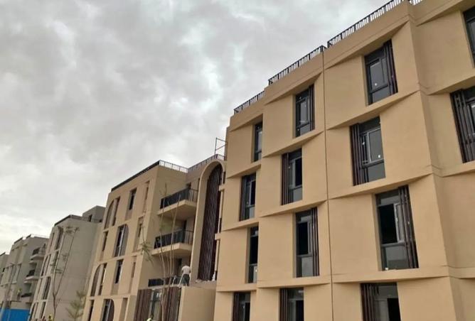 8243391 - Property Image 3