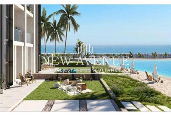 8169193 - صورة العقار 2