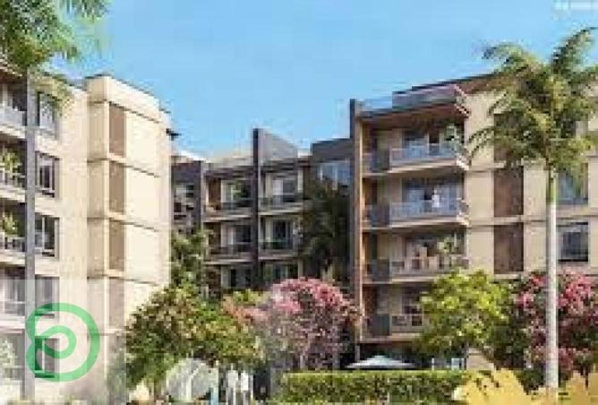 8464656 - Property Image 3