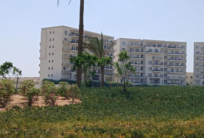 8480337 - صورة العقار 2