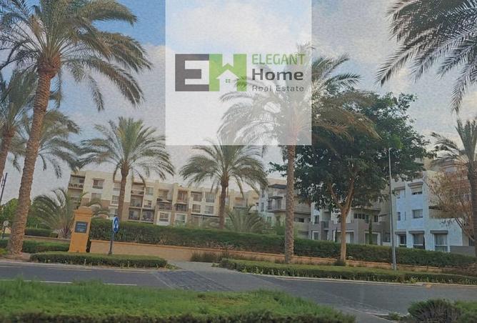 8497820 - Property Image 3