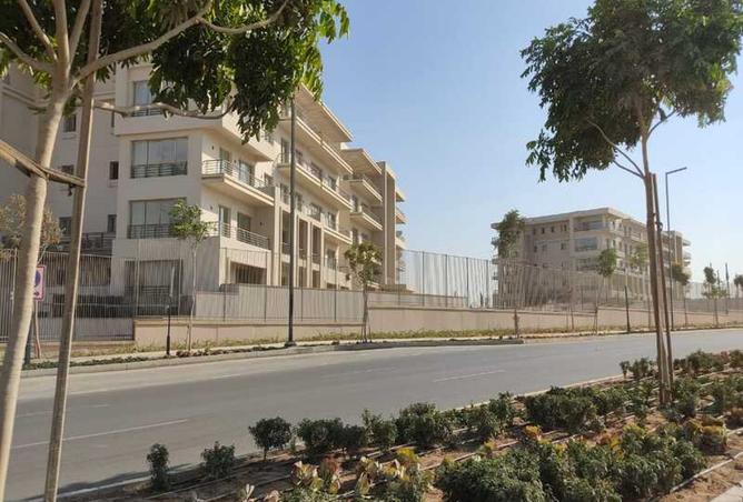 8006246 - صورة العقار 3