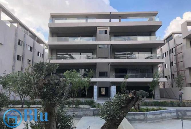 8163261 - Property Image 3