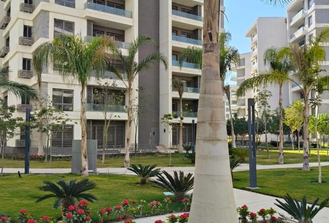 8519894 - صورة العقار 3