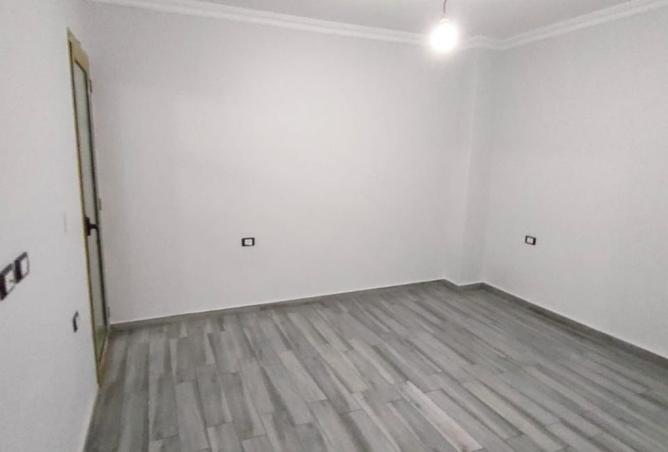 7913477 - صورة العقار 3