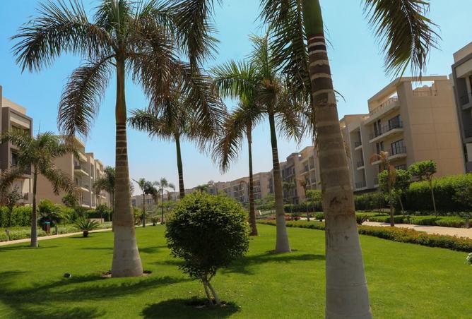 8513348 - صورة العقار 2