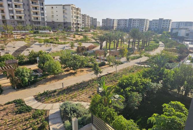 7917845 - Property Image 2