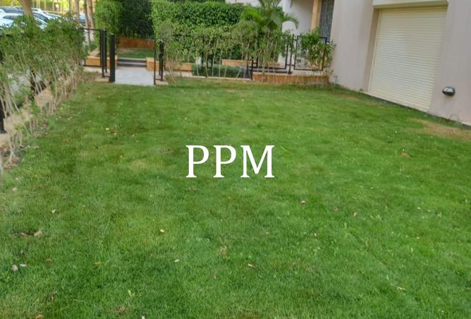 8423710 - صورة العقار 2