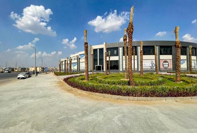 8058772 - صورة العقار 2