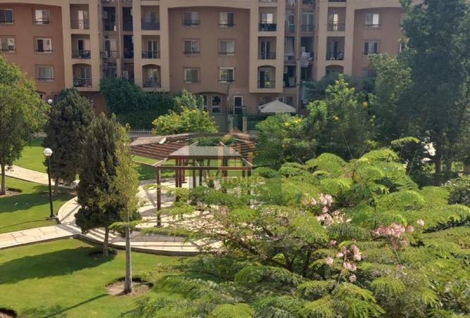 8296912 - Property Image 3