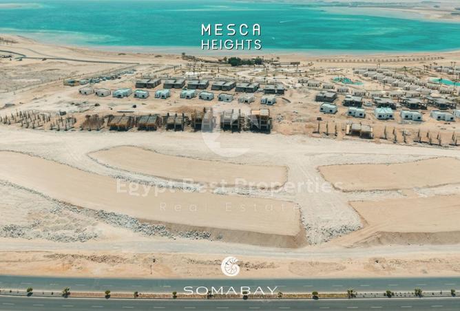 8295463 - صورة العقار 3