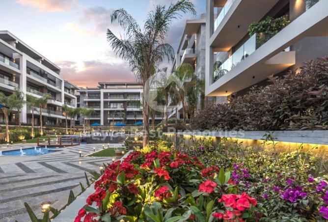 8239893 - Property Image 2