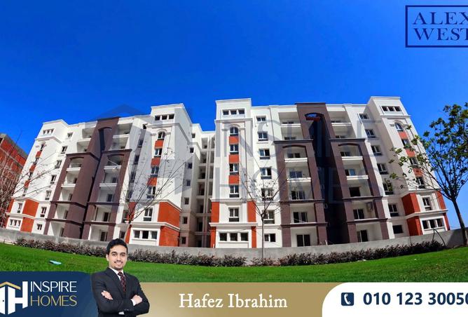 8252078 - Property Image 3