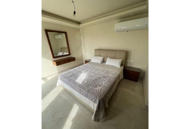 7913411 - Property Image 2