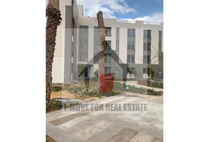 8149486 - Property Image 3