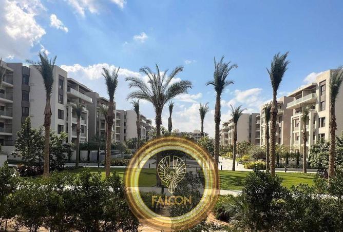 8309437 - Property Image 2