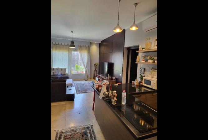 8184167 - Property Image 3