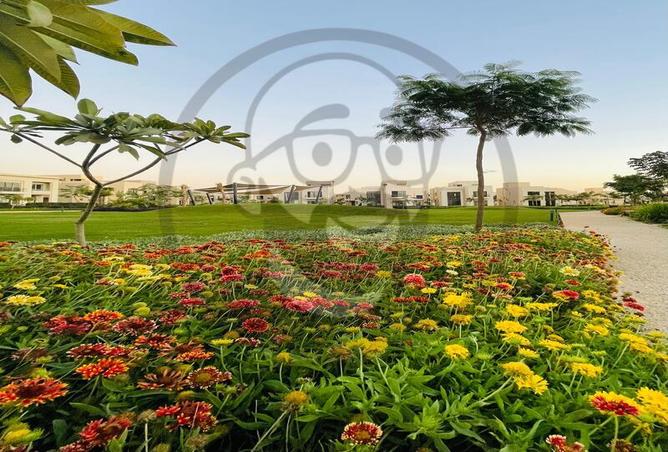 7983821 - Property Image 3