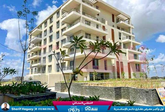 8432569 - Property Image 2