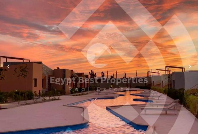 8117990 - Property Image 3