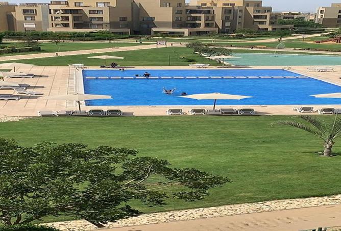 8265387 - صورة العقار 2