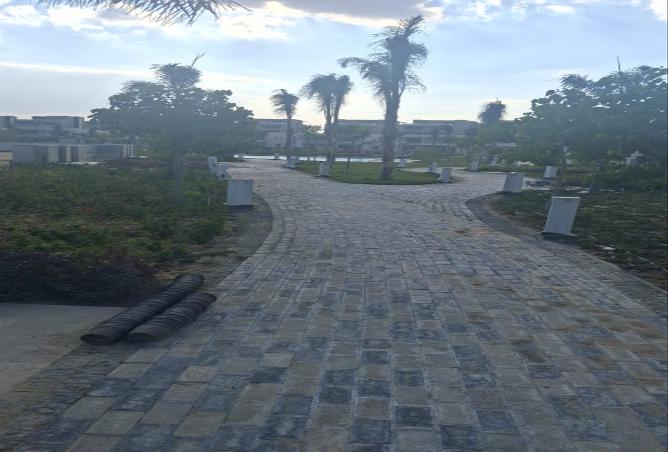 6610501 - Property Image 3