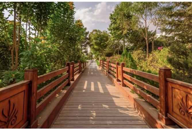 8253662 - صورة العقار 3