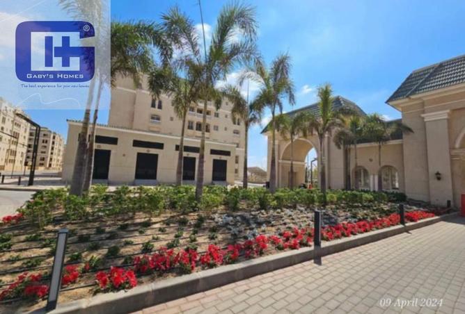 8136420 - Property Image 3