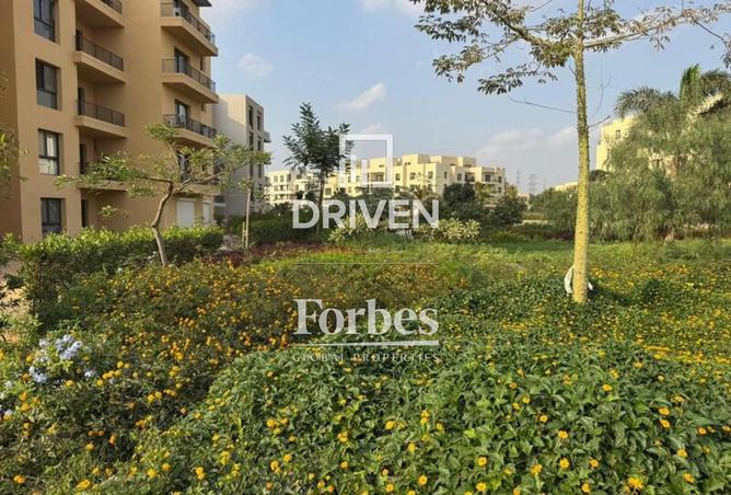 8542340 - Property Image 2