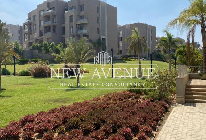 8323174 - صورة العقار 2