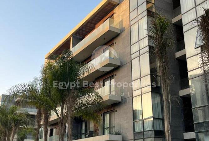 8539956 - Property Image 3