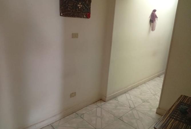 8218382 - Property Image 3