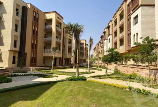 8317842 - صورة العقار 3