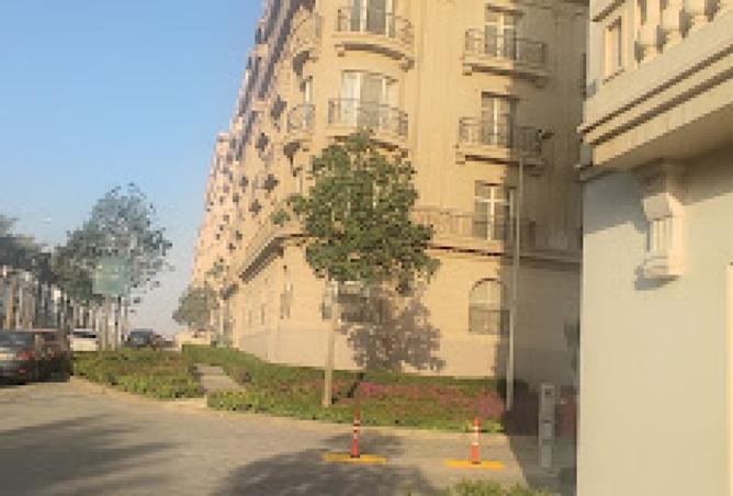 8181257 - Property Image 3