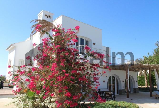 8238673 - الصورة الرئيسية للعقار