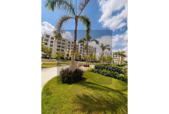 8342890 - صورة العقار 3