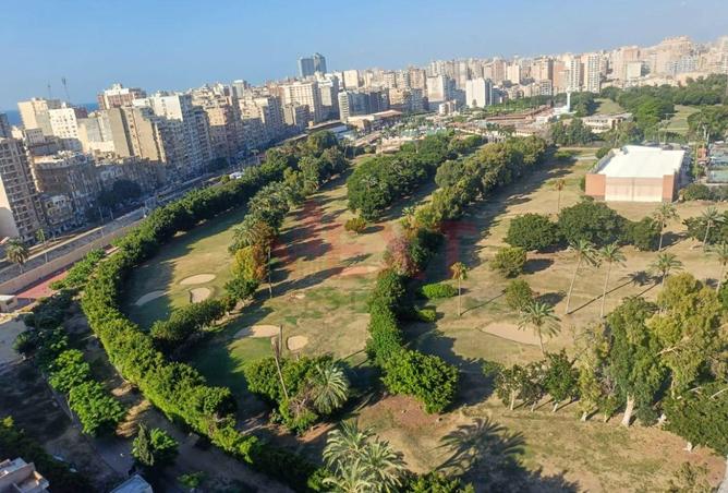 8423993 - Property Image 2