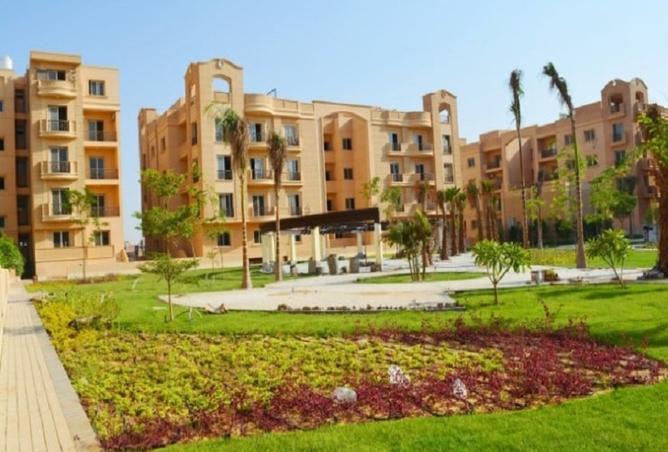 8300013 - صورة العقار 3