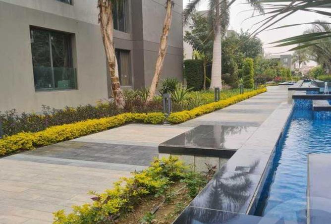 8425983 - Property Image 3