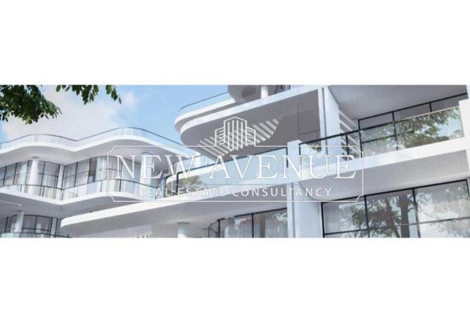 8229065 - Property Image 3