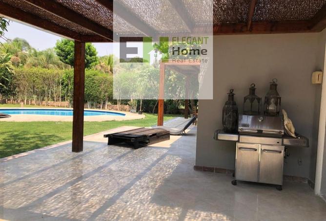 8519300 - Property Image 3