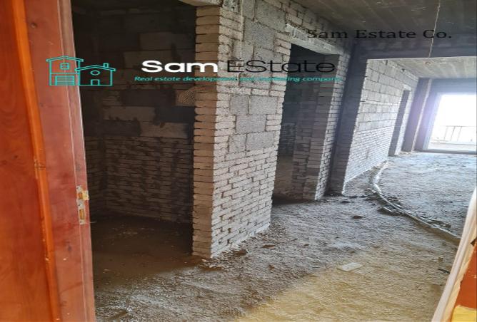 6913666 - Property Image 3